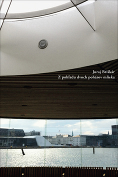 Kniha Z pohľadu dvoch pohárov mlieka