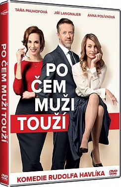 Po čem muži touží  DVD