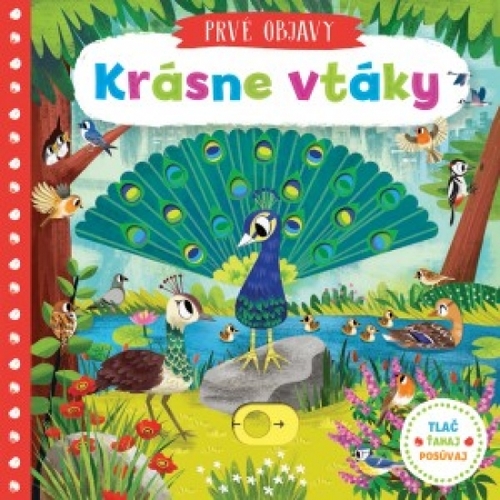 Kniha Krásne vtáky