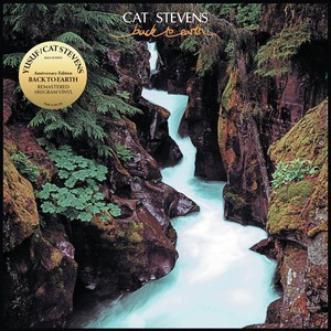 Yusuf/Stevens Cat - Back To Earth  CD