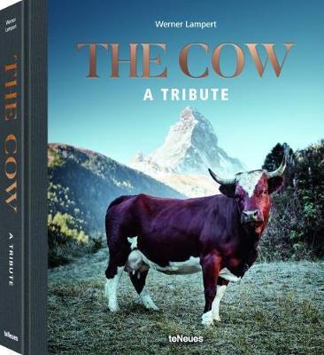 Cow A Tribute