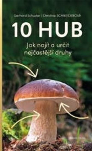 10 hub