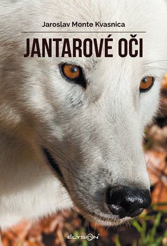 Jantarové oči 2. vydání - Jaroslav M. Kvasnica