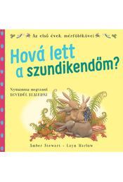 Kniha Hová lett a szundikendőm? - Amber Stewartová