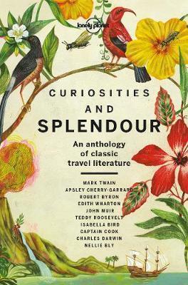 Curiosities and Splendour 1