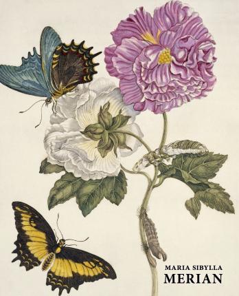 Kniha Maria Sibylla Merian