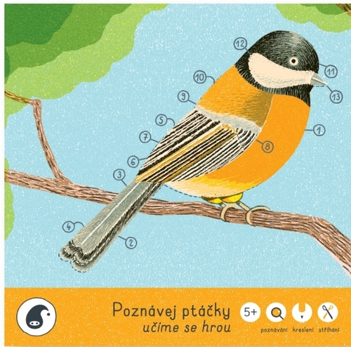 Poznávej ptáčky - omaľovanka pracovný zošit (Pipasik)