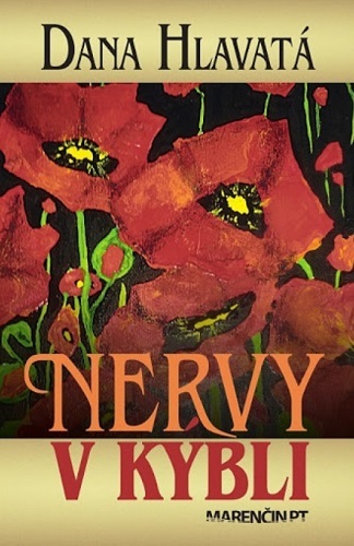 Kniha Nervy v kýbli - Dana Hlavatá