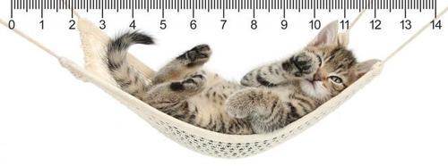 3D pravítko Mačiatko