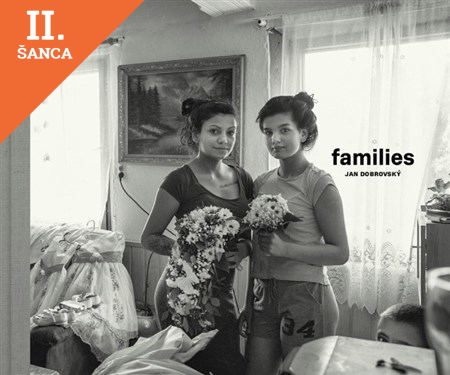 Lacná kniha Families