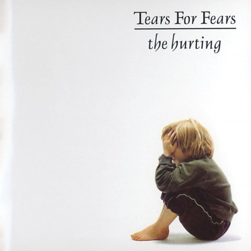 Kniha Tears For Fears - The Hurting LP