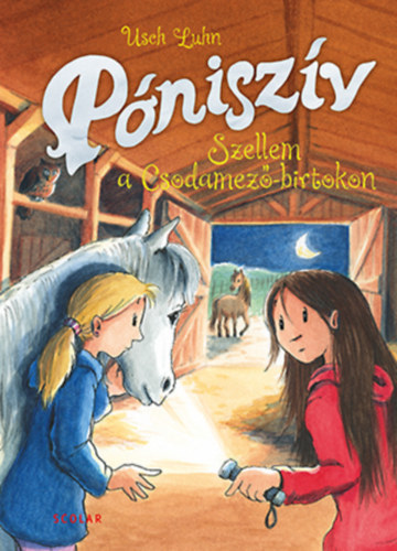 Kniha Póniszív - Szellem a Csodamező-birtokon - Usch Luhn