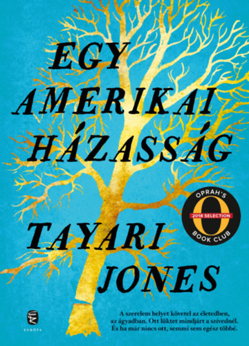 Kniha Egy amerikai házasság - Tayari Jones