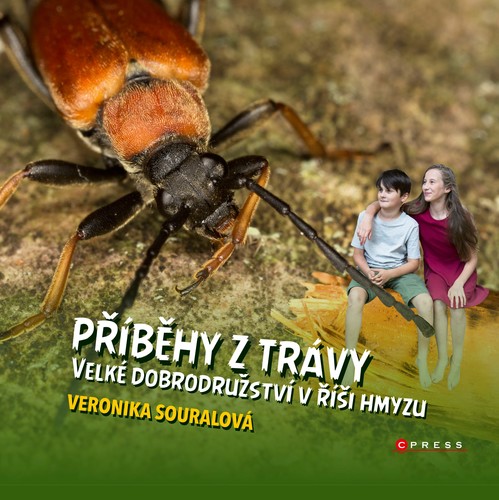 Kniha Příběhy z trávy - Veronika Souralová