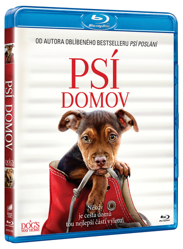 Psí domov BD