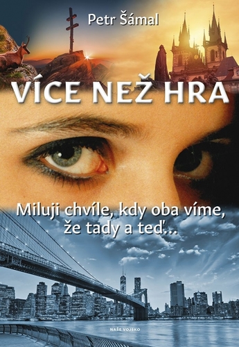 Kniha Více než hra