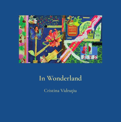 Kniha In Wonderland - Cristina Vidrutiu