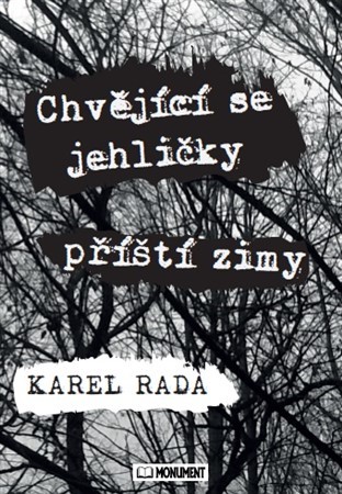 Kniha Chvějící se jehličky příští zimy