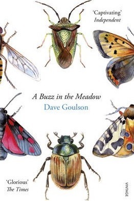 A Buzz in the Meadow