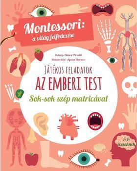 Az emberi test-Montessori - A világ felfedezése
