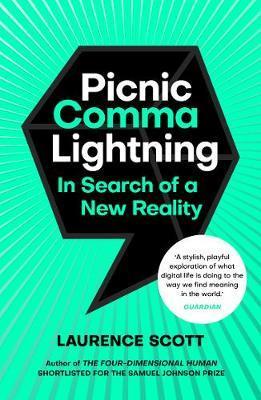 Picnic Comma Lightning - In Search of a New Reality