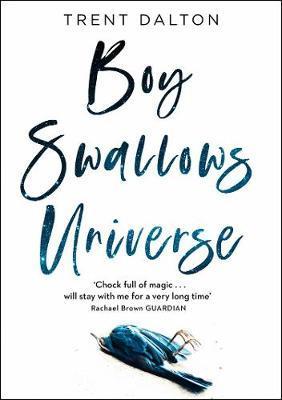 Boy Swallows Universe