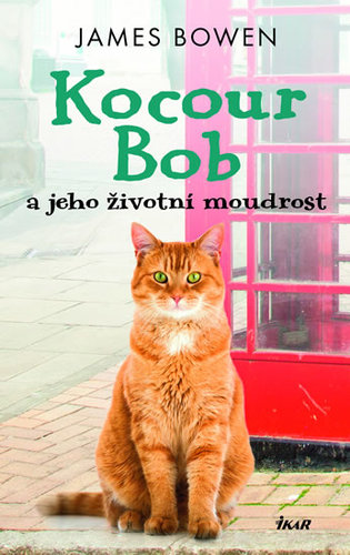 Kocour Bob