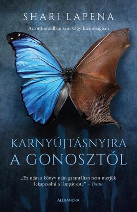 Kniha Karnyújtásnyira a gonosztól - Shari Lapena