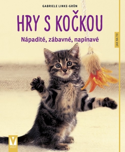 Kniha Hry s kočkou – nápadité, zábavné, napínavé – 2.vyd.