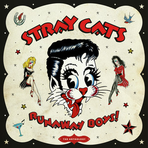 Kniha Stray Cats - Runaways Boys: The Anthology 4LP