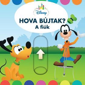 Hova bújtak a fiúk? - Disney Baby térbeli könyv