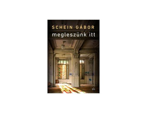Kniha Megleszünk itt - Gábor Schein
