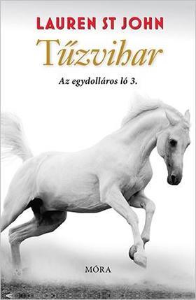 Kniha Tűzvihar - Egy dolláros ló 3. - Lauren St John