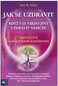 Jak se uzdravit, když vás nikdo jiný uzdravit nemůže - Amy B. Scher