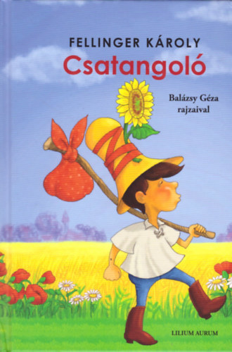 Kniha Csatangoló - Károly Fellinger