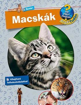 Macskák - Mit? Miért? Hogyan?