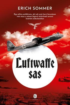 Kniha Luftwaffe sas - Erich Sommer