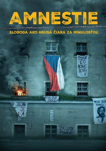 Amnestie. Sloboda ako hrubá čiara za minulosťou - Kolektív autorov,Danglár Gertli Jozef