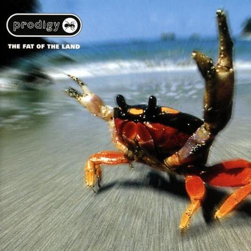 Prodigy, The - Fat Of The Land 2LP