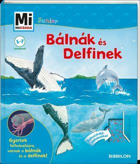 Mi MICSODA JUNIOR - Bálnák és delfinek 25.