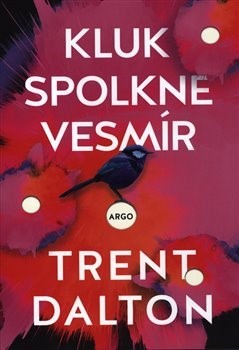Kluk spolkne vesmír