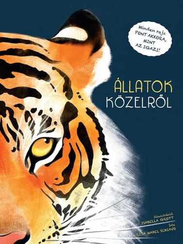 Kniha Állatok közelről - Kolektív autorov