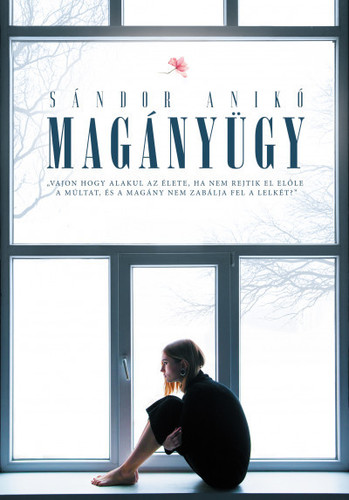Kniha Magánügy - Anikó Sándor