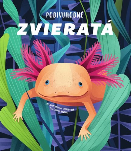 Kniha Podivuhodné zvieratá