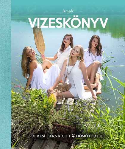 Vizeskönyv