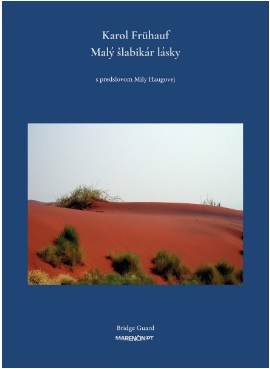 Kniha Malý šlabikár lásky