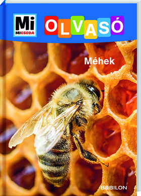 Kniha Mi MICSODA Olvasó - Méhek - Christina Braun