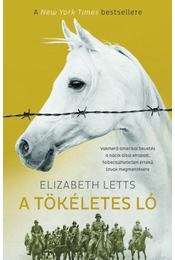 A tökéletes ló