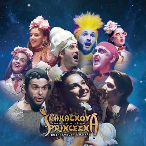 Kniha Muzikál - Šľahačková princezná (Hammel, Peteraj, Ďurovčík) CD