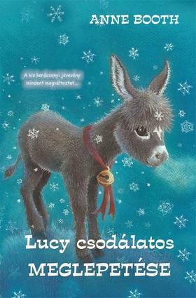 Kniha Lucy csodálatos meglepetése - Anne Booth